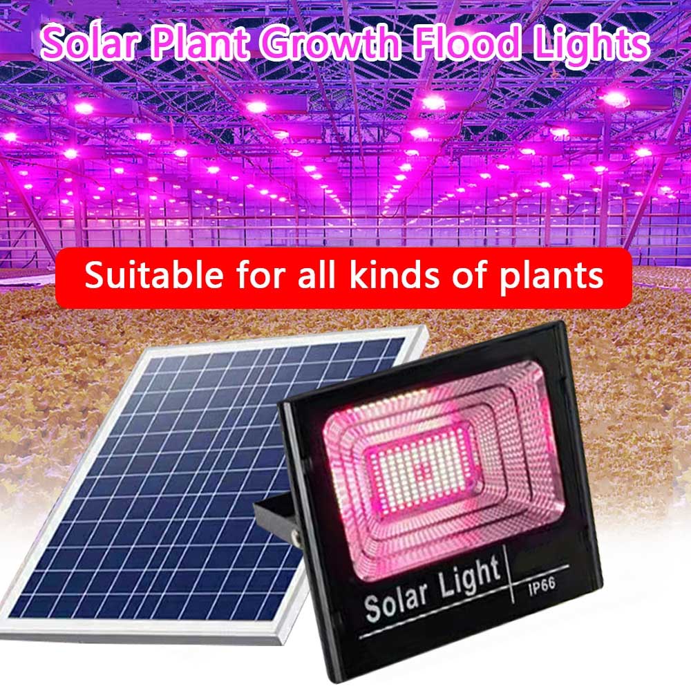 Solar LED Grow Light para Plan - Outdoor Power And Plant avaliação e preço
