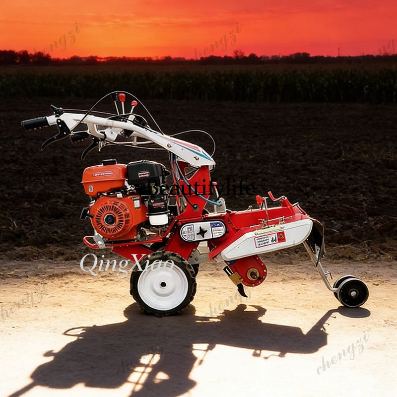 Mini-cultivador rotativo front - Garden Tiller Mini avaliação e preço