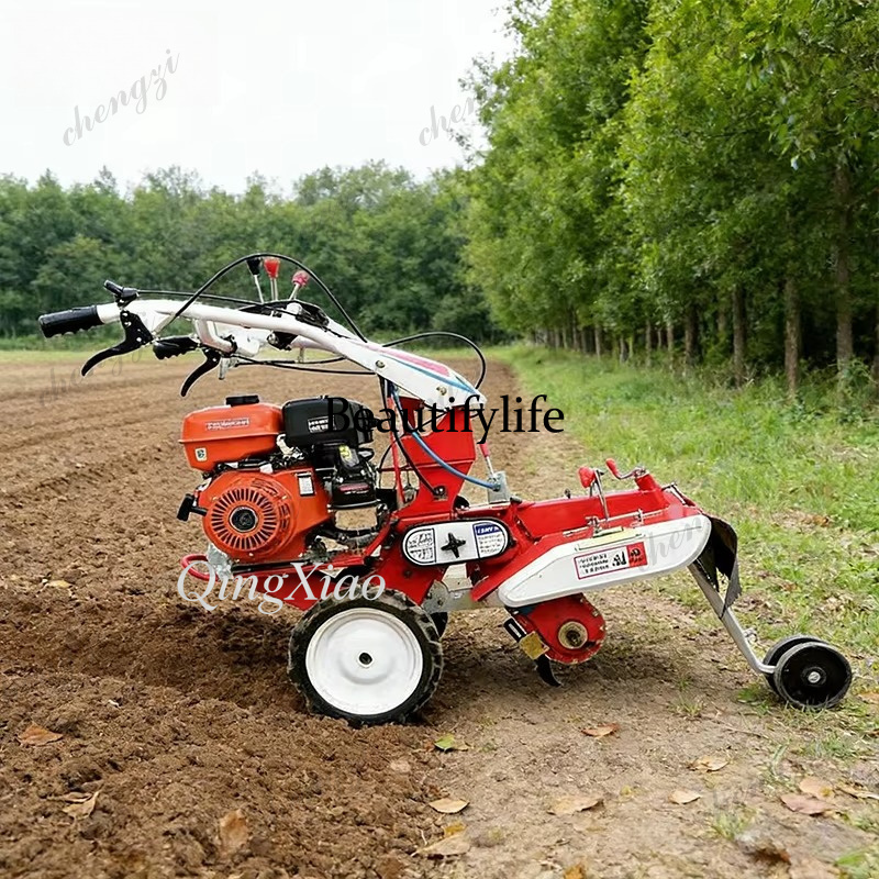 Mini-cultivador rotativo front - Garden Tiller Mini avaliação e preço