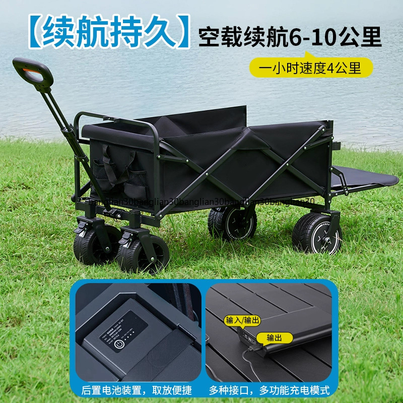 Carrinho Elétrico Dobrável par - Outdoor Power Recliner avaliação e preço